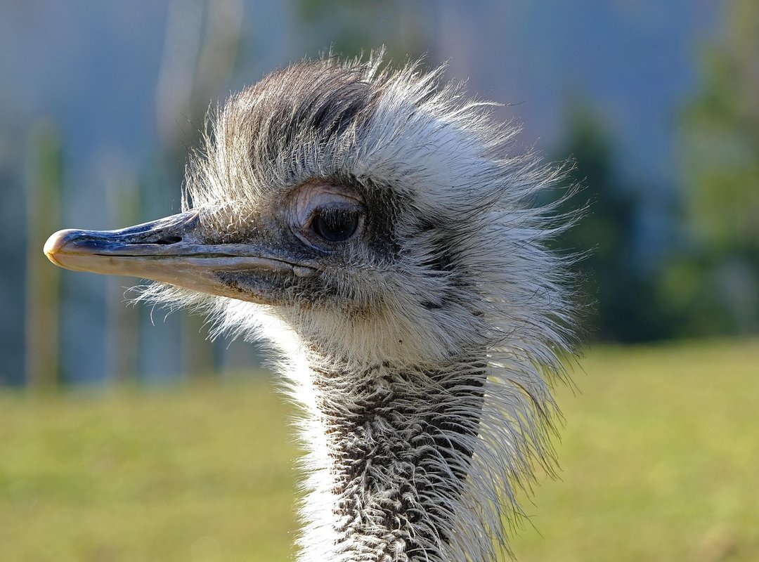 Thehakegamer Game Tips and Tricks From Thehake