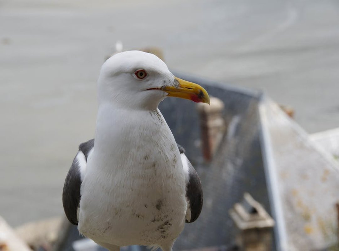 Beyond the Swimwear: The Breathtaking Backdrops of Her Posts