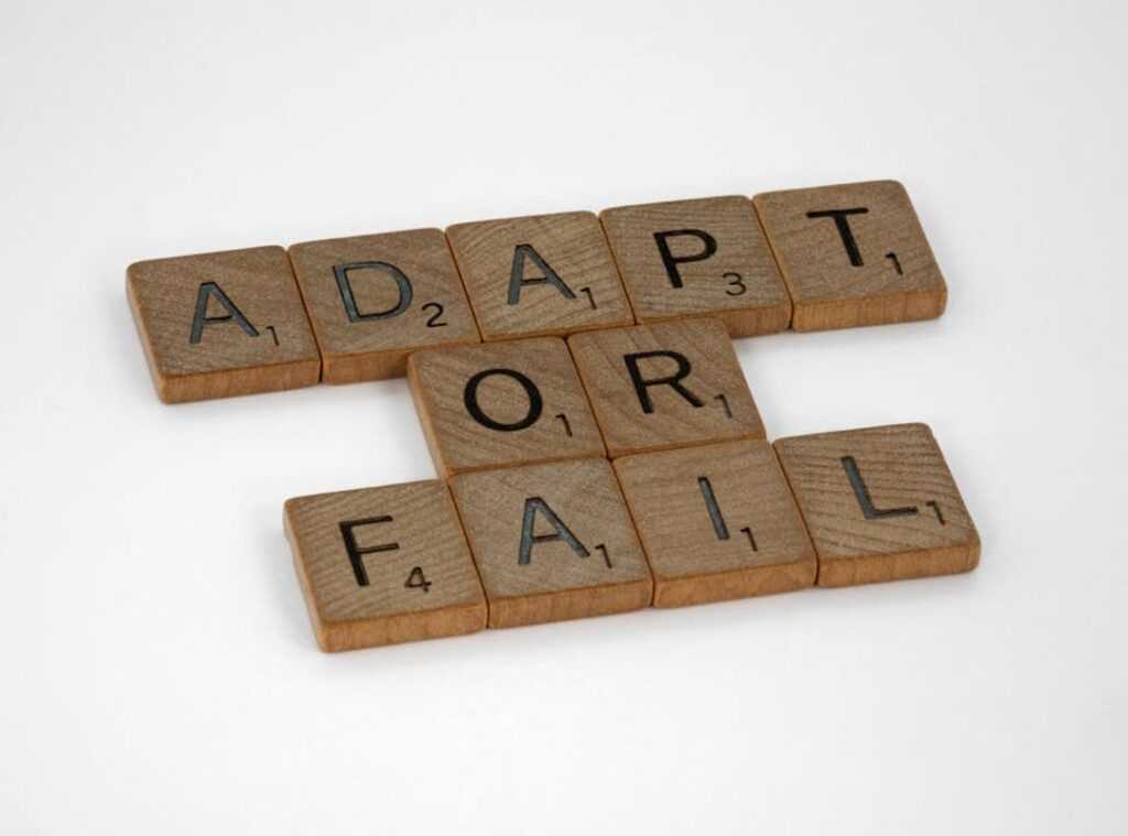 adapting game meta changes